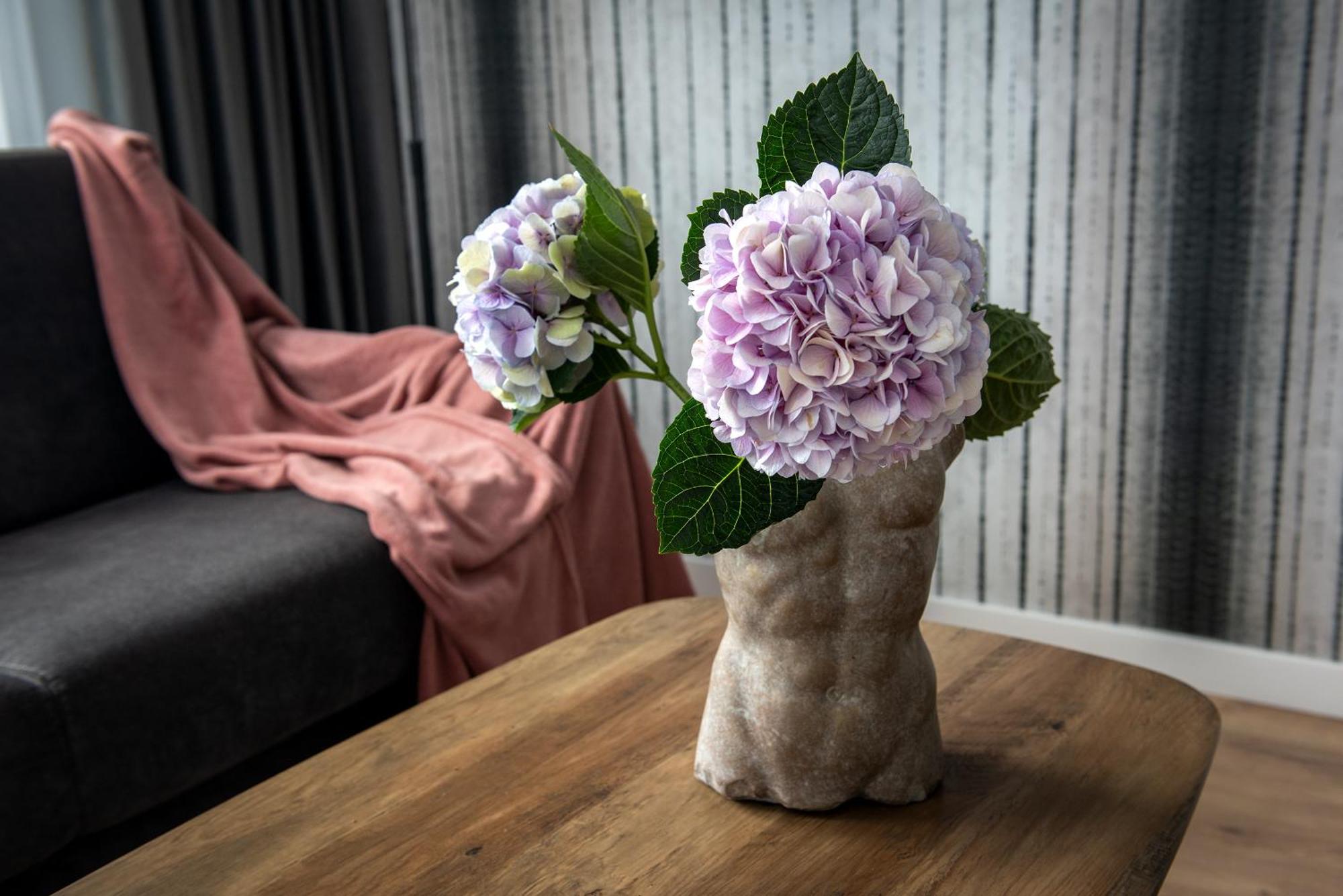 Inpoint Spacious Apartments Near Main Square & Kazimierz District Krakow Bilik gambar